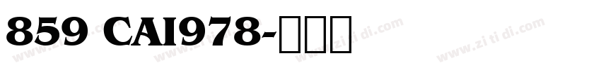 859 CAI978字体转换